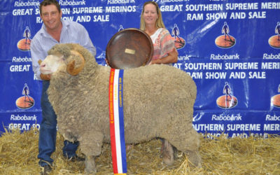 Canberra 2014 – Supreme Poll Exhibit