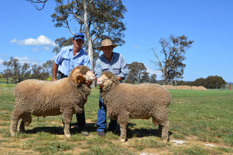 Passion pays off at Grassy Creek