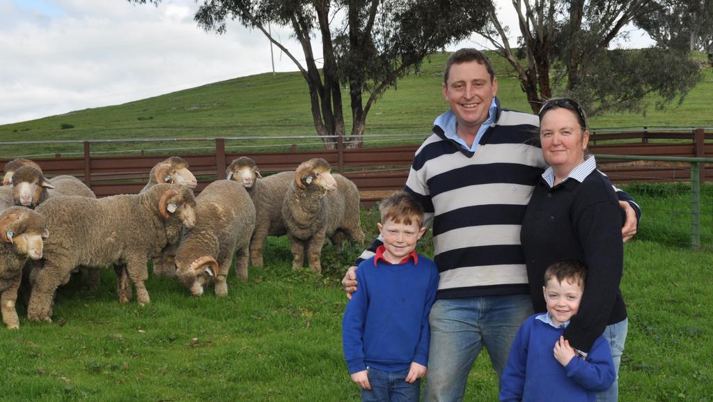 At Grassy Creek Merino stud fleece weight is one key to profitability