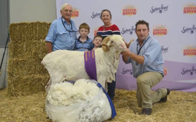 Grassy Creek wins Merino production