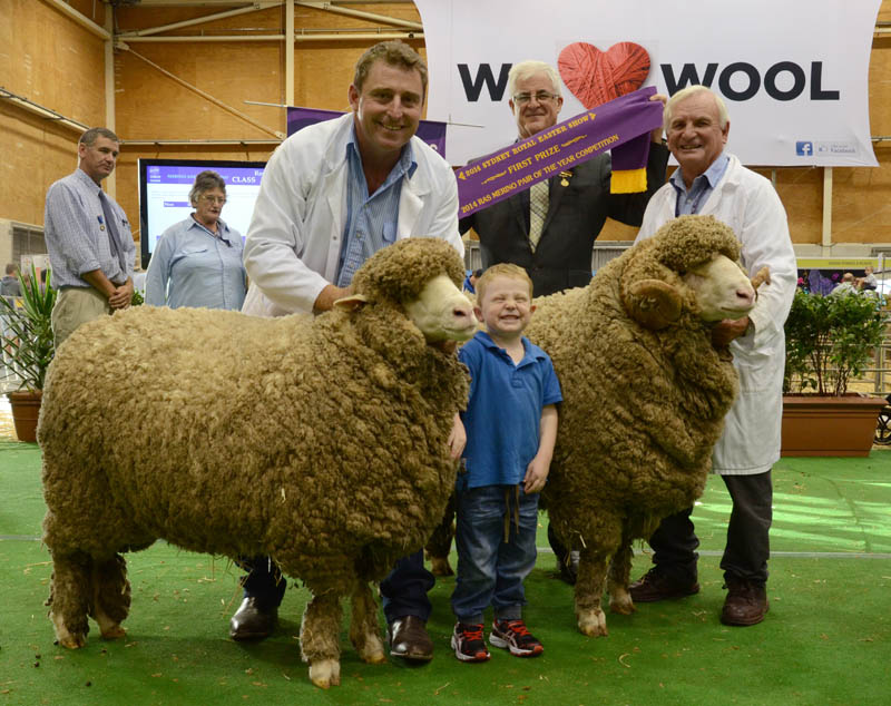 Sydney Royal 2014 March-Shorn Merino pair winner