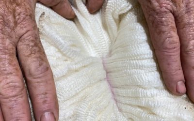 2021 Ram Sale Results