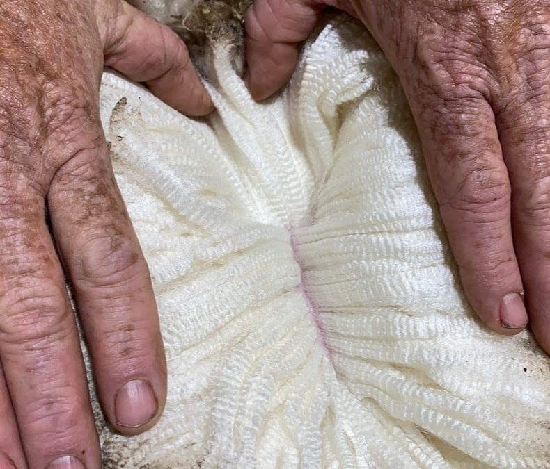 2021 Ram Sale Results