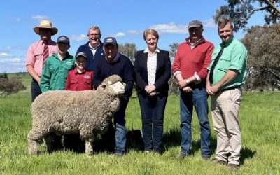 2022 Ram Sale – Lot 5 PP Poll selling for $23,500