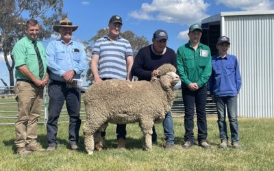 2023 Annual Ram Sale