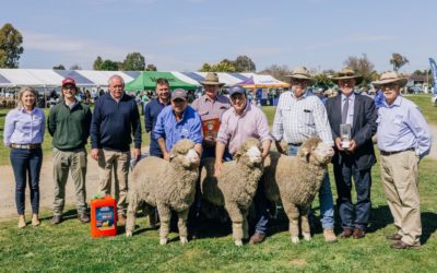2023 SWS Stud Merino Breeders Field Day