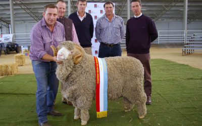 Supreme Exhibit Armidale 2013